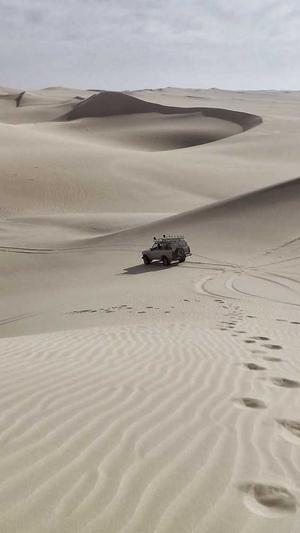 黑料网不打烊截图2